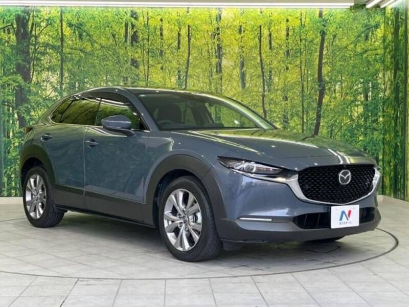 CX-30