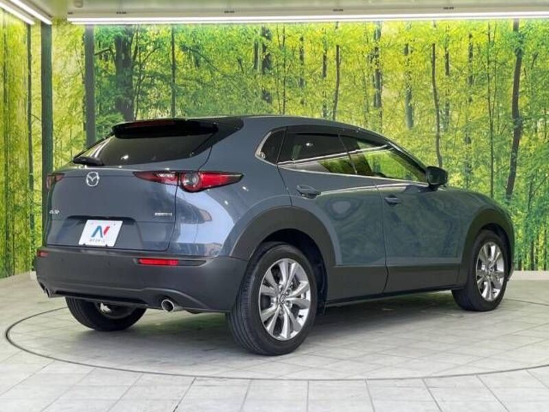 CX-30