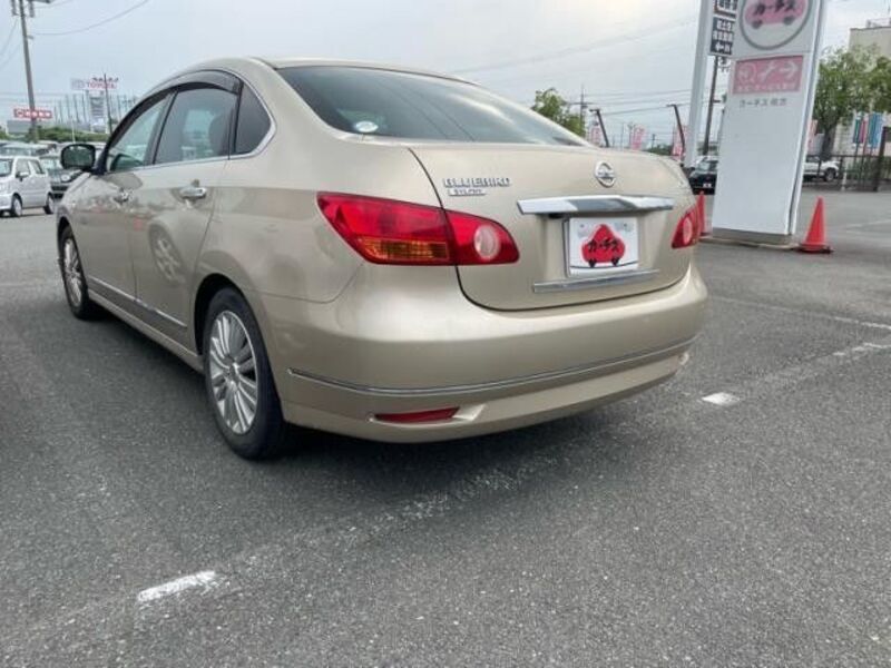 BLUEBIRD SYLPHY
