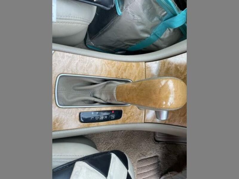 BLUEBIRD SYLPHY