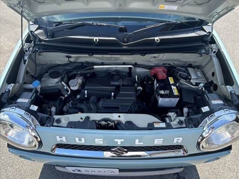 HUSTLER