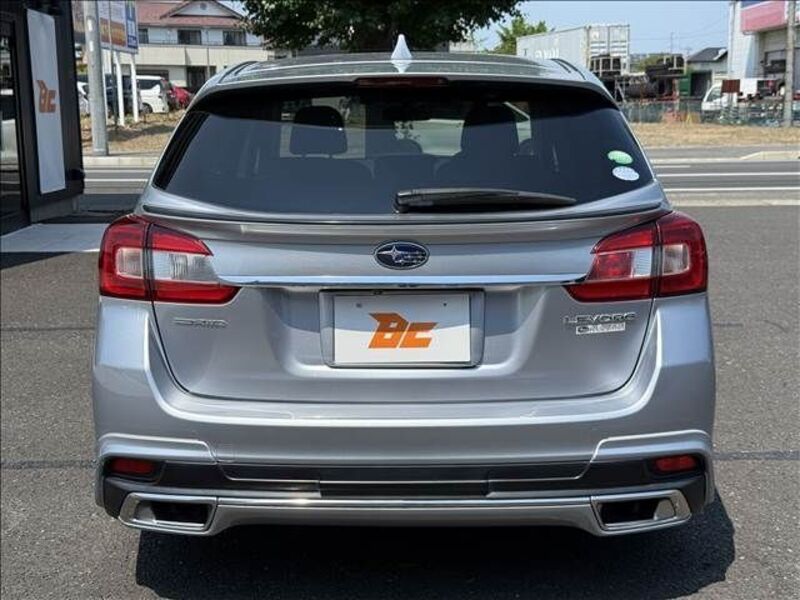 LEVORG