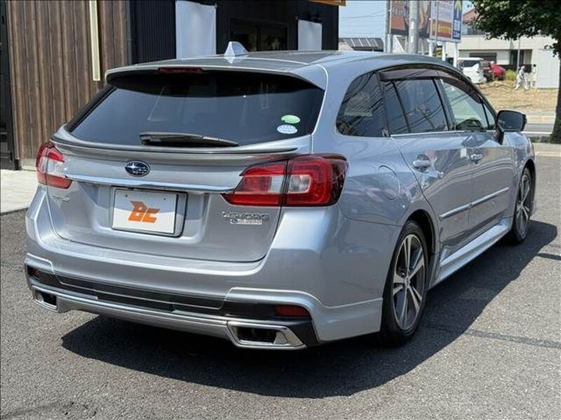 LEVORG