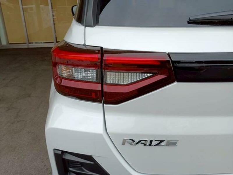 RAIZE