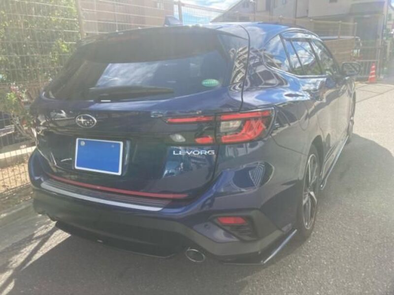 LEVORG