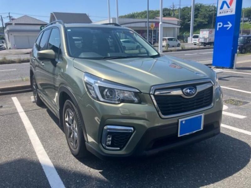 FORESTER