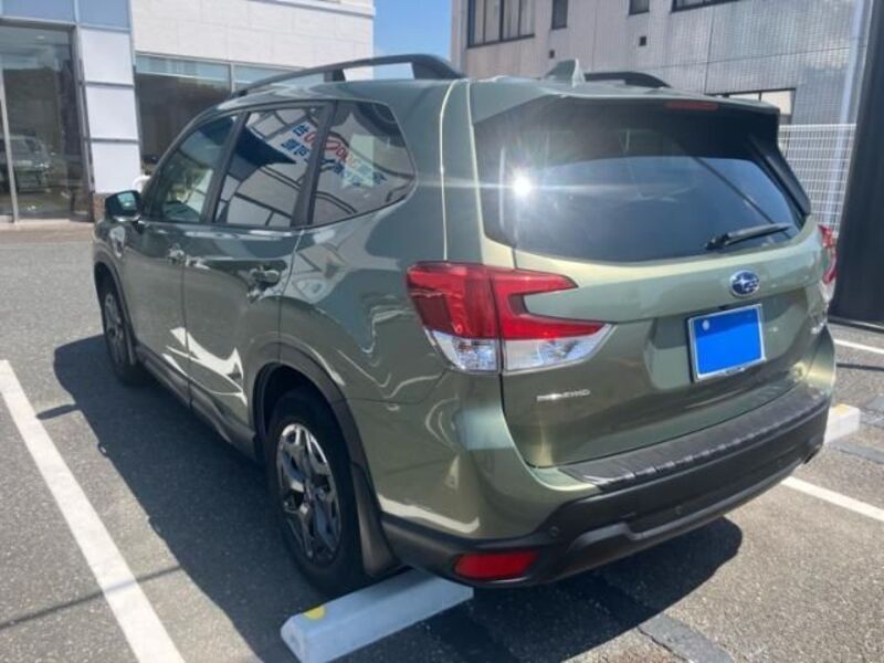 FORESTER