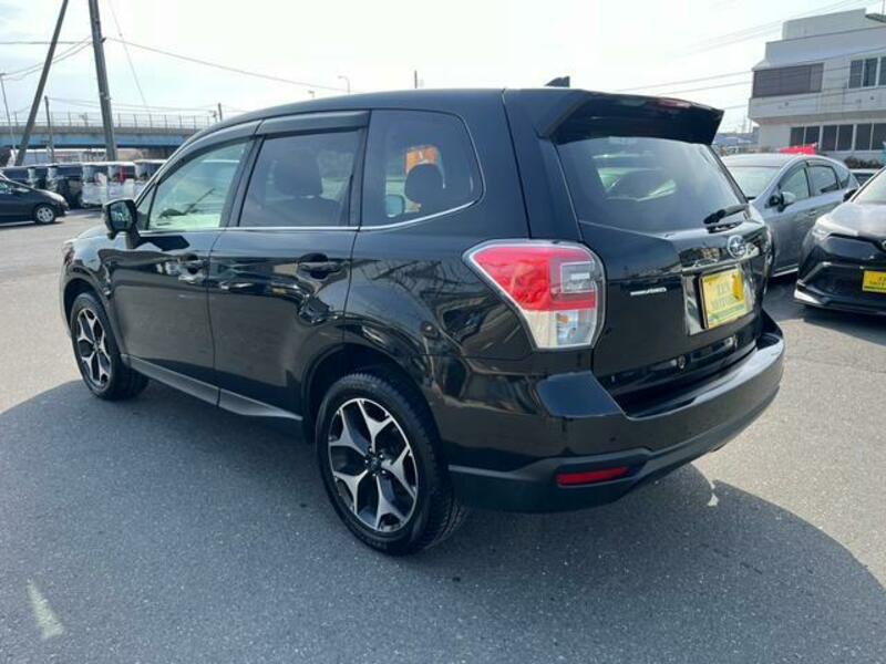 FORESTER