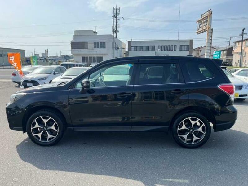 FORESTER