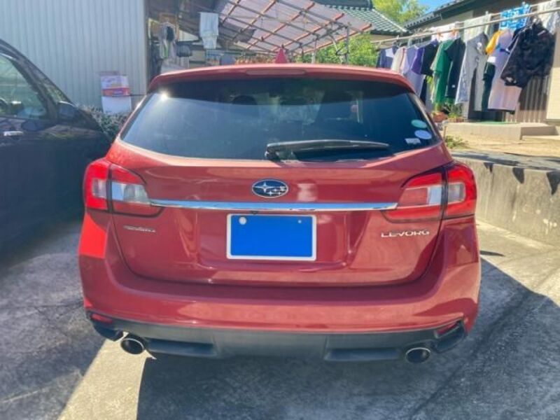 LEVORG