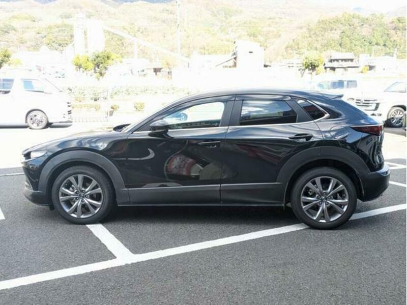 CX-30