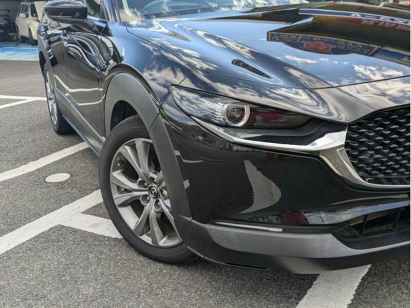 CX-30