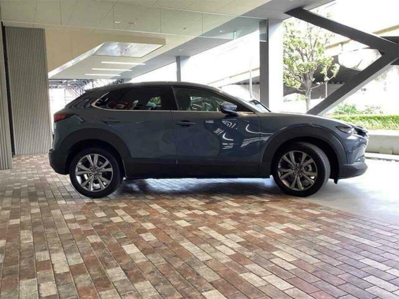 CX-30