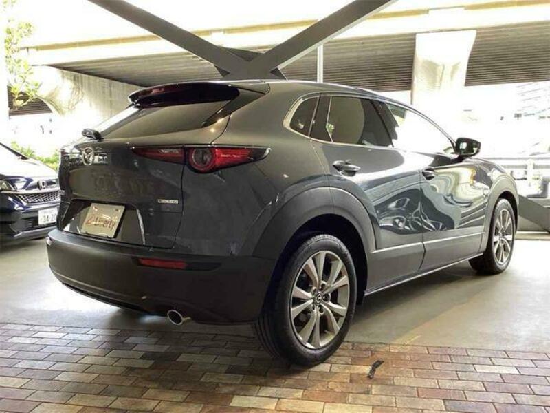 CX-30