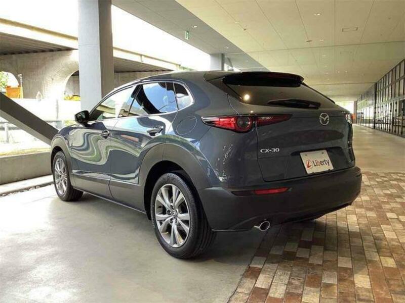CX-30