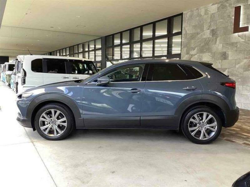 CX-30