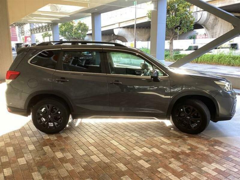 FORESTER
