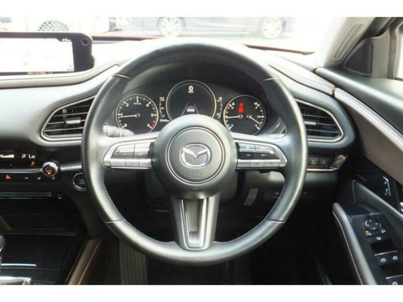 CX-30