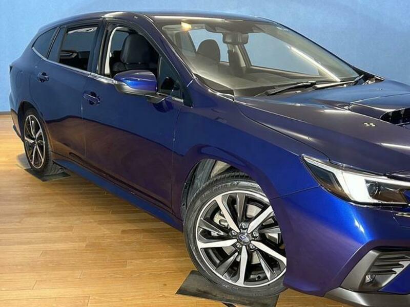 LEVORG