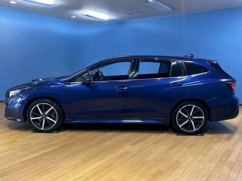 LEVORG