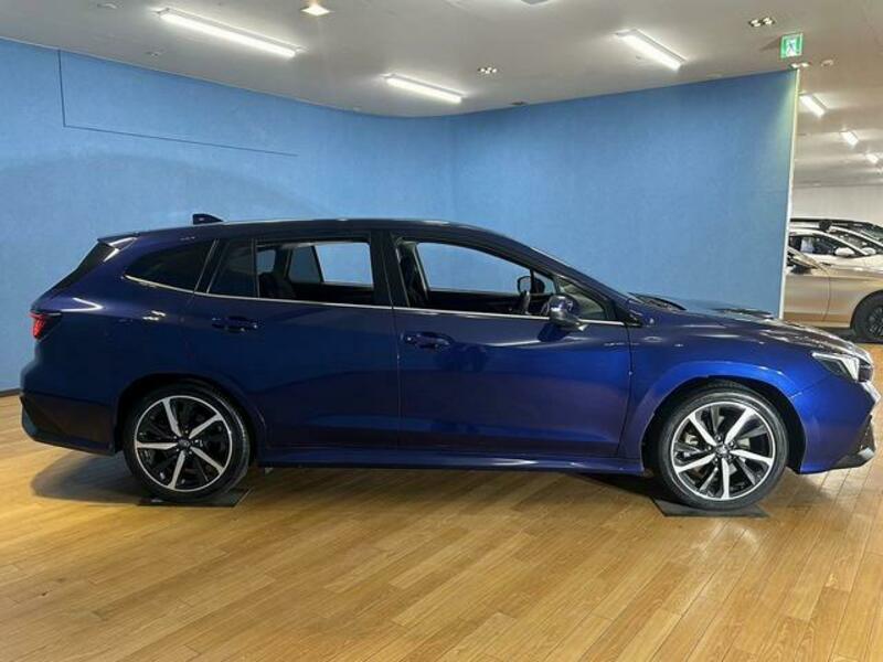 LEVORG