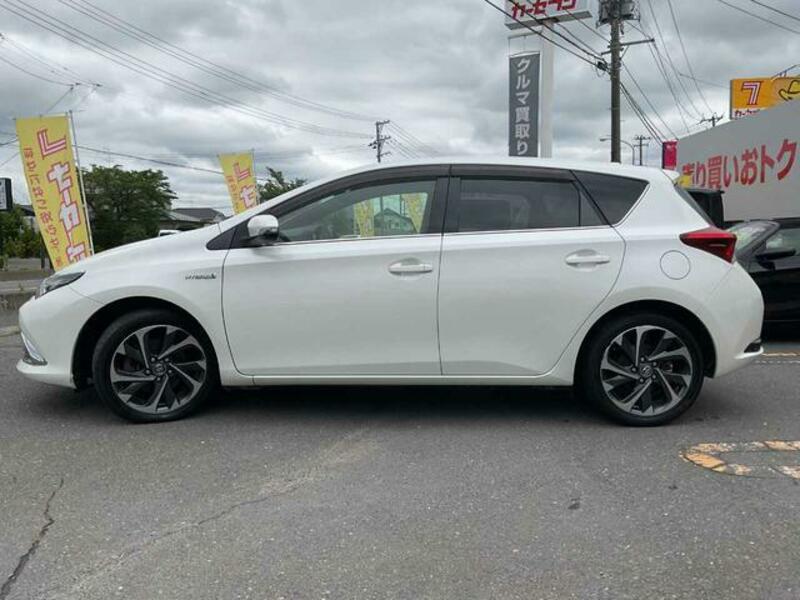 AURIS