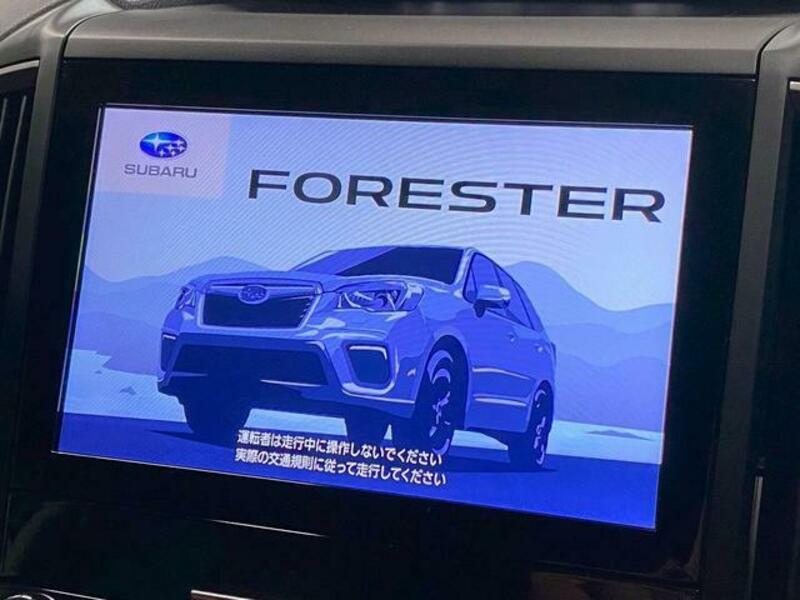 FORESTER