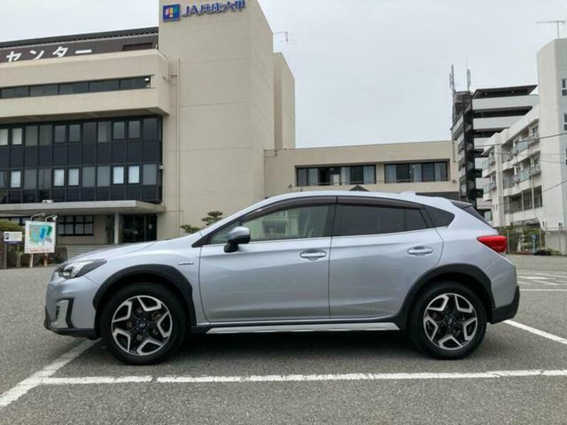 XV