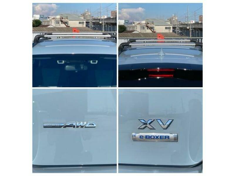 XV