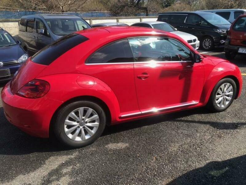 THE BEETLE