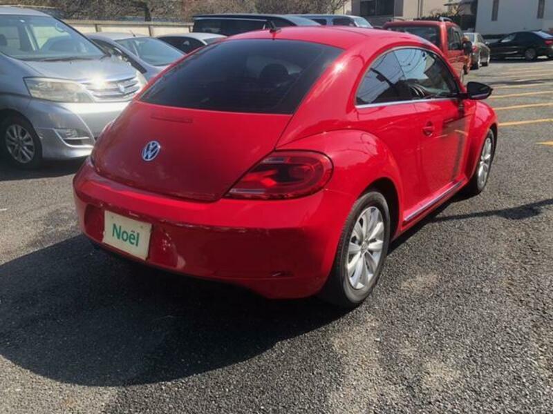 THE BEETLE