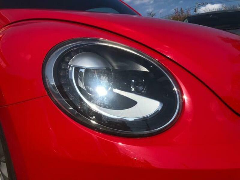 THE BEETLE