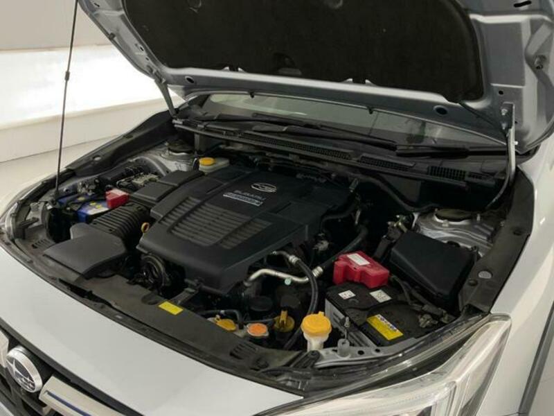 XV