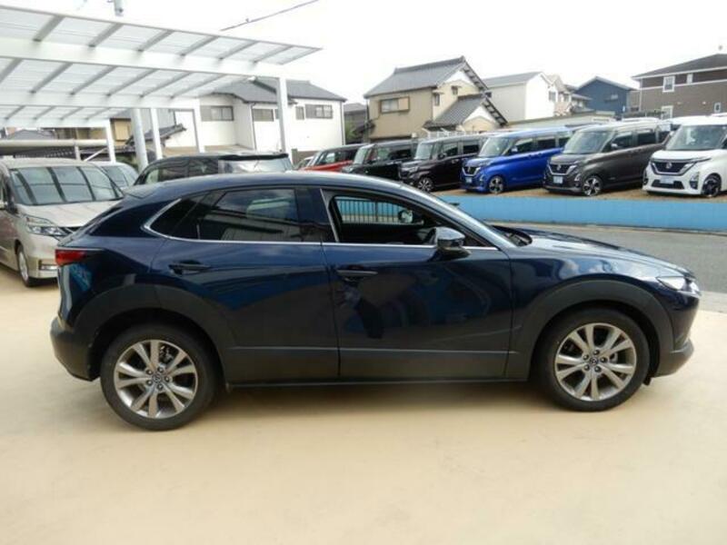 CX-30