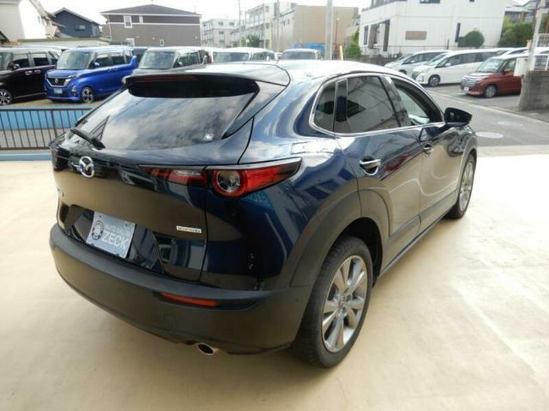 CX-30