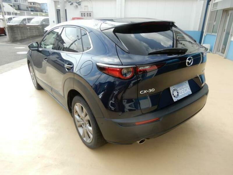 CX-30