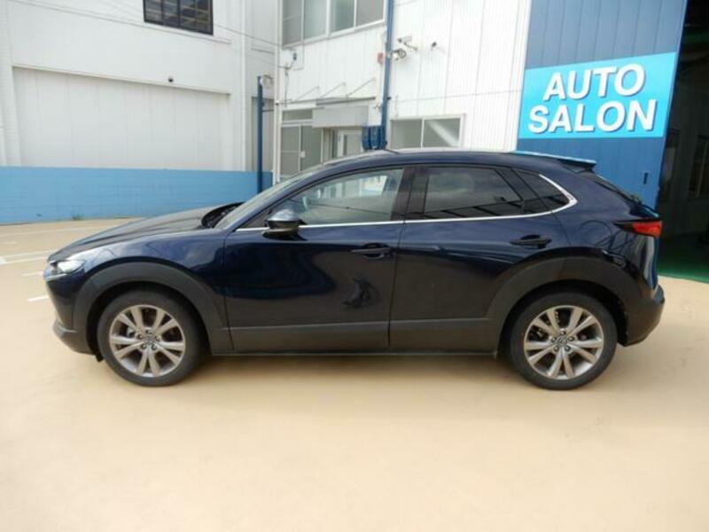 CX-30