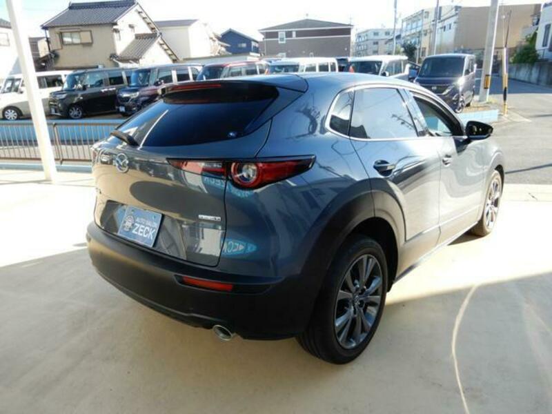 CX-30