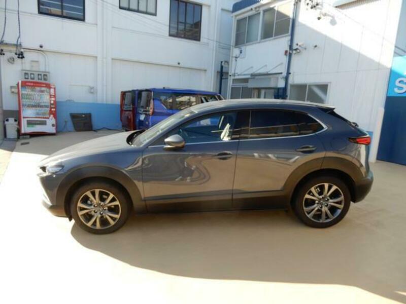 CX-30