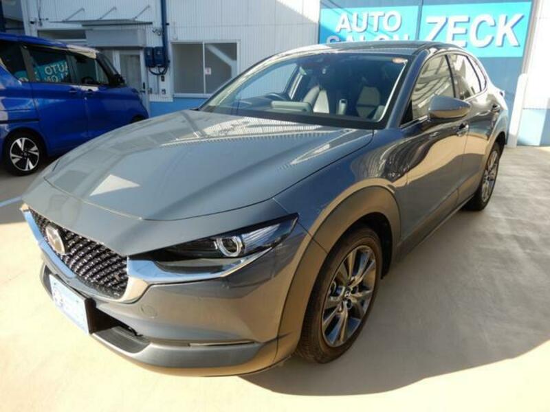 CX-30