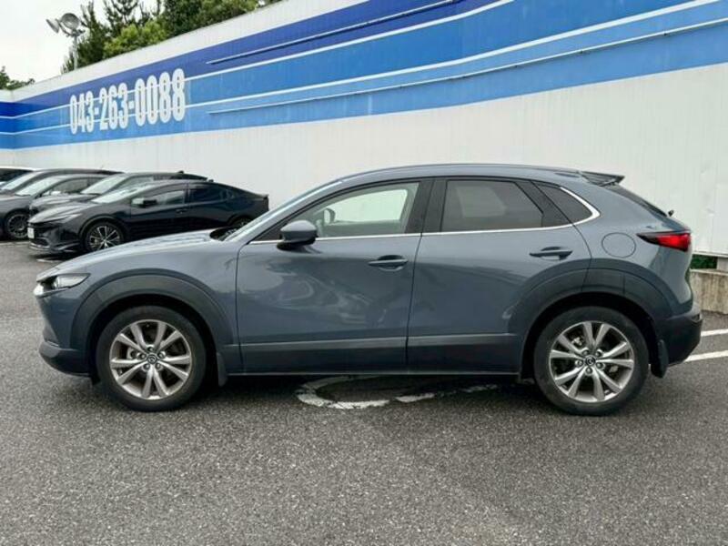 CX-30
