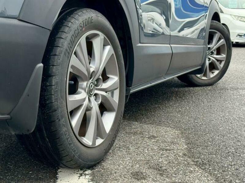 CX-30