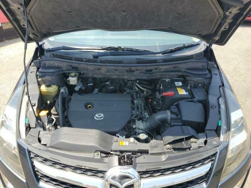 MPV