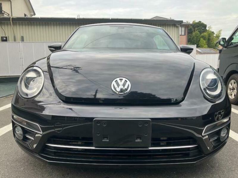 THE BEETLE