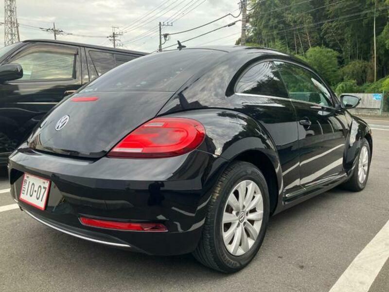 THE BEETLE