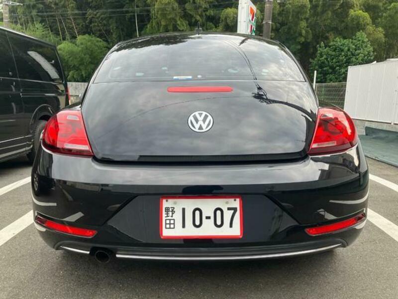 THE BEETLE