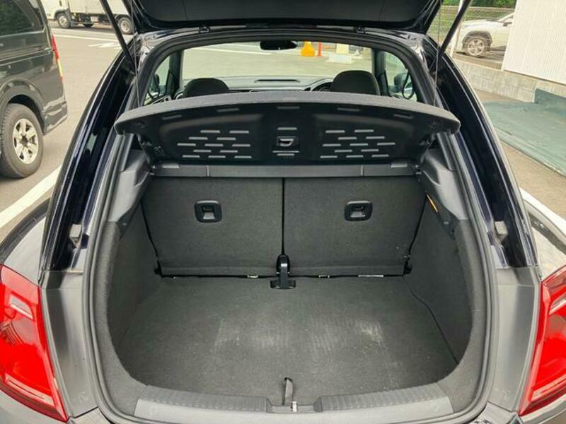 THE BEETLE