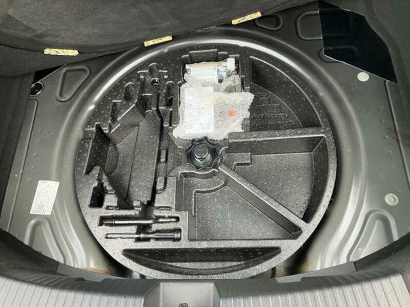 THE BEETLE