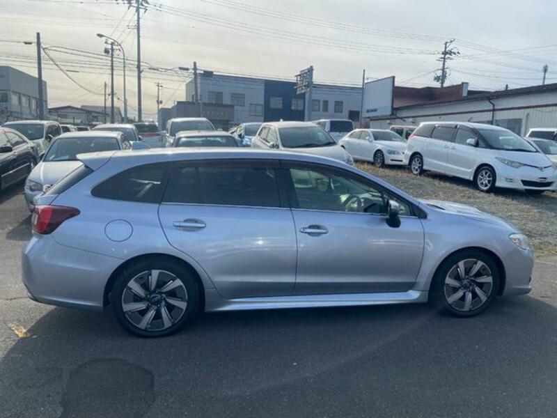 LEVORG