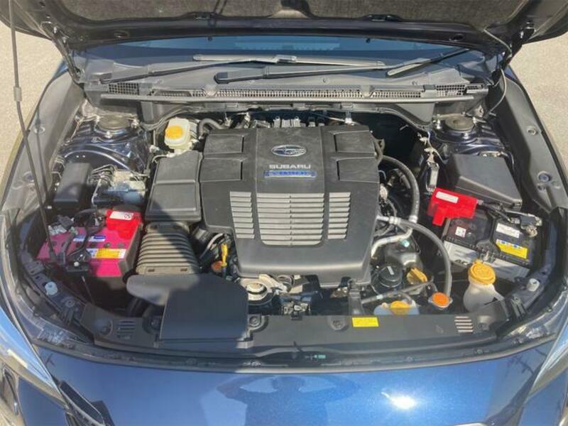 XV
